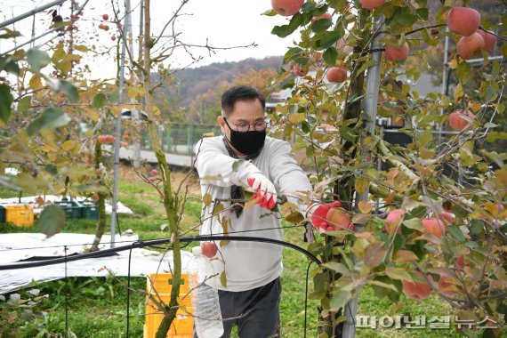 포천시의회 사과농가 찾아 일손돕기 ‘구슬땀’