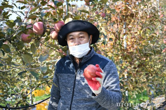 포천시의회 사과농가 찾아 일손돕기 ‘구슬땀’