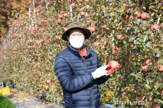 포천시의회 사과농가 찾아 일손돕기 ‘구슬땀’