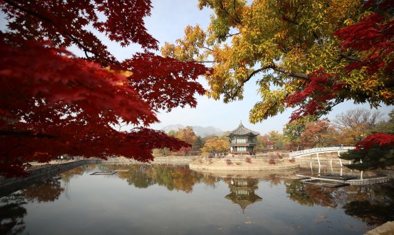 [서울=뉴시스] 박미소 기자 = 조선시대 왕과 왕비의 휴식처였던 향원정과 취향교 복원이 3년 만에 완료돼 언론에 공개됐다. 향원지 영역의 옛 사진을 분석해 변형·훼손된 절병통, 창호, 능화지, 외부 난간대 등을 복원했다. 내년 4월부터 특별관람 형태로 내부가 일반에 공개될 예정이다. 5일 오전 서울 종로구 경복궁에서 복원된 향원정과 취향교가 보이고 있다. 2021.11.05. misocamera@newsis.com