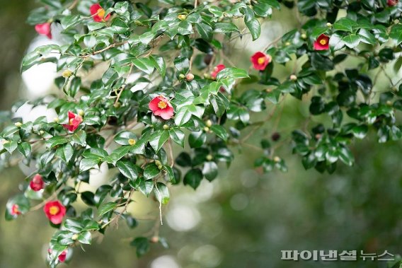 [fn레저] 두 팔 벌려 ‘후우~웃’…제주여행, 힐링이 되다