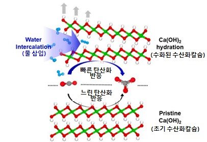 탄산화 반응에 영향을 미치는 물 삽입에 의한 수산화칼슘의 팽창과정 모식도 물분자, Ca, O, C 및 H는 각각 하늘색, 녹색, 빨간색, 회색 및 흰색으로 표시됨.(KBSI 제공) © 뉴스1