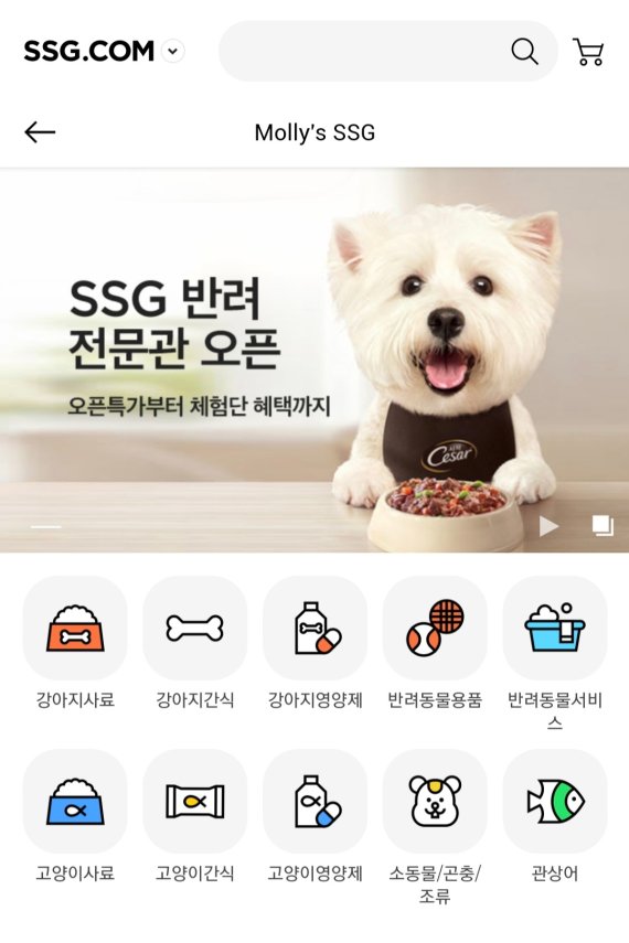 *재판매 및 DB 금지