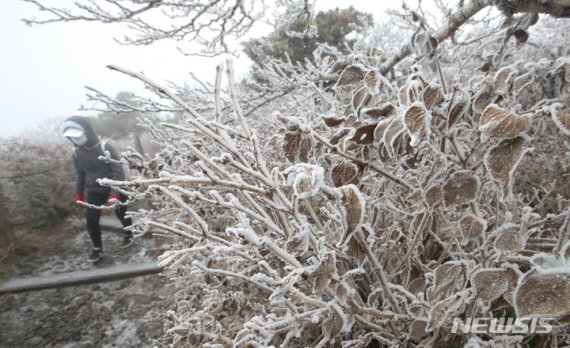 성큼 다가온 겨울 “한라산에 첫눈”…예상 적설량 최대 8㎝