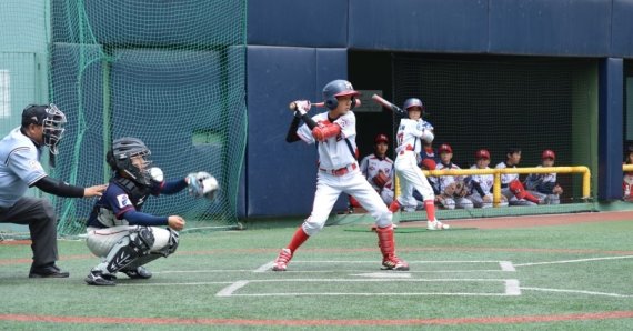 리틀야구대회 자료사진. 뉴스1