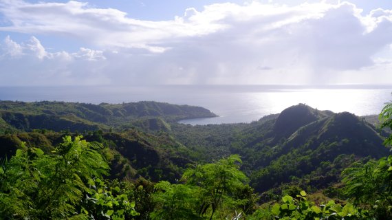 전망대에 오르는 계단에서 바라본 풍경. 전망대엔 나무가 무성해 전망을 가리고 있다 © 뉴스1 윤슬빈 기자