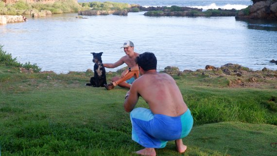 반려견과 함께 휴가를 즐기고 있는 외국인 관광객들 © 뉴스1 윤슬빈 기자