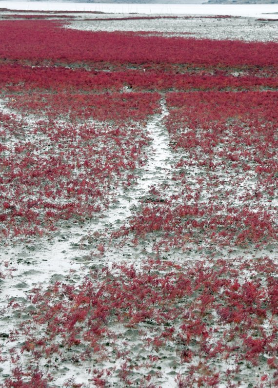 [네모이야기] 마음을 잇는 길