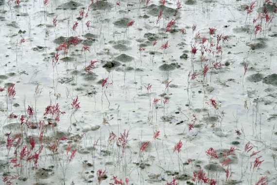 [네모이야기] 마음을 잇는 길