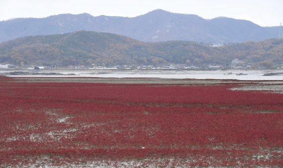 [네모이야기] 마음을 잇는 길