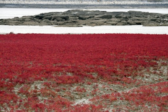 [네모이야기] 마음을 잇는 길