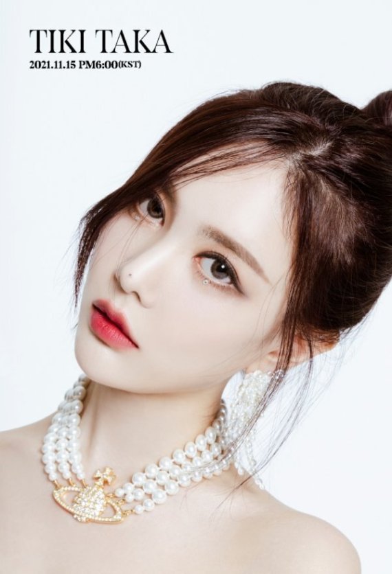 티아라 큐리/딩고 © 뉴스1