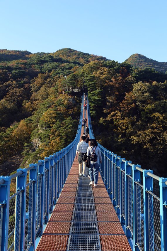 하늘길 소금산이냐, 땅의 길 치악산이냐 [Weekend 레저]