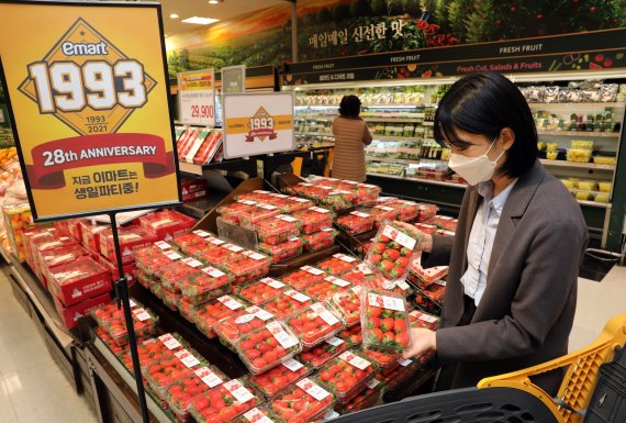 고객이 이마트 매장에서 딸기를 고르고 있다. 이마트 제공