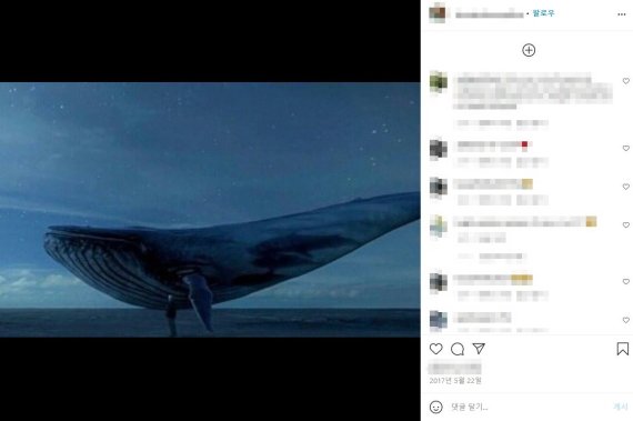 2017년 당시 사망한 러시아의 한 여학생이 사망 전 자신의 SNS에 올린 고래 사진. (인스타그램 갈무리) © 뉴스1