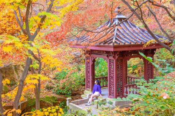 석파정 유수성중관풍루라는 별칭처럼 주변으로 짙은 단풍이 가득하다