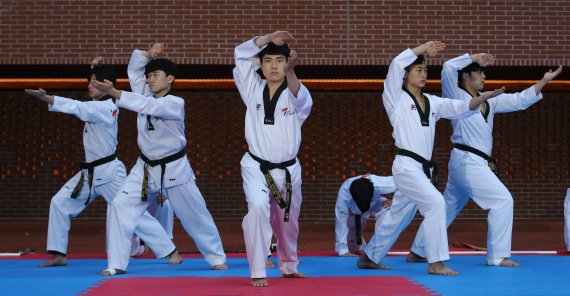 [뉴시스Pic] 한국 고유의 무술, 화려한 태권도 시범 - 파이낸셜뉴스