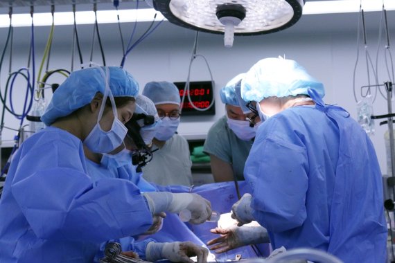 부천세종병원 성인흉부외과팀이 상행 대동맥을 치환하는 수술을 집도하고 있다.