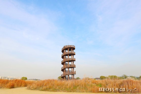 만추 시흥 갯골생태공원 물들이다