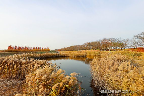 시흥 갯골생태공원 가을 끝자락. 사진제공=시흥시