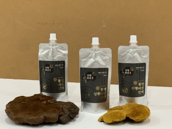 동명대 산학협력 '상황버섯 진액' 내년부터 홈쇼핑·인터넷서 만난다