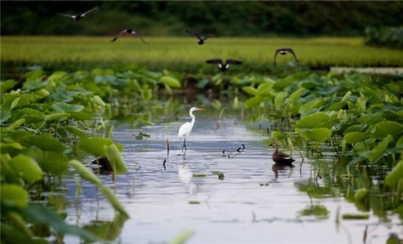 '철새의 낙원' 울산시 생물다양성 사진 전시회