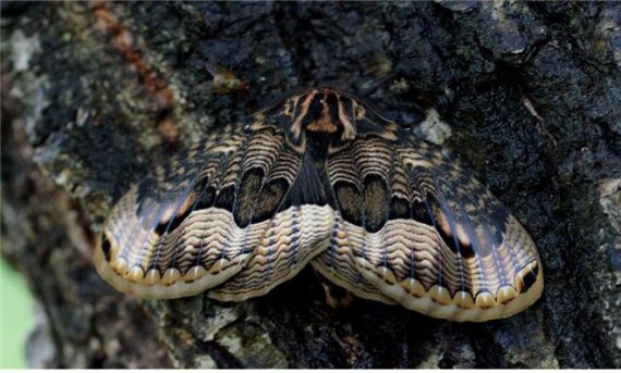 '철새의 낙원' 울산시 생물다양성 사진 전시회