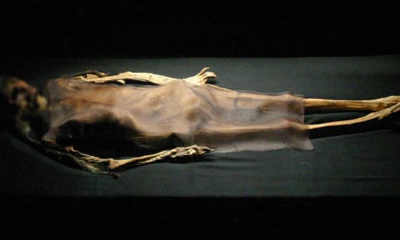 1200년 된 미라 발견...온 몸에 감긴 것이