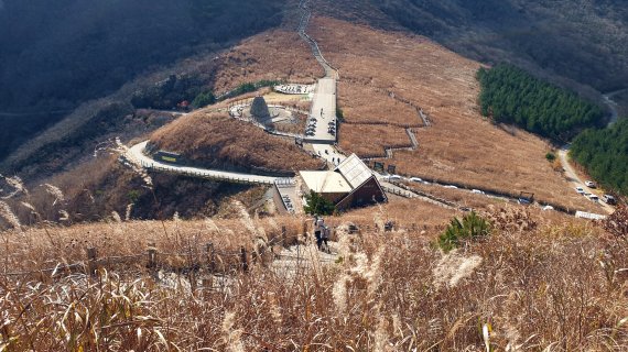 대숲에 쏟아지는 은하수… 떠나간 단풍 아쉽지 않네 [Weekend 레저]