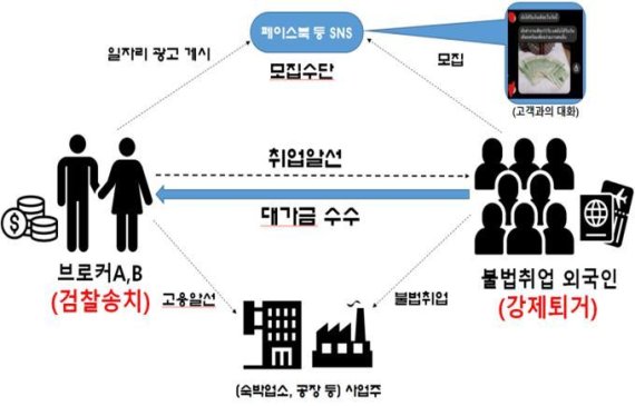 불법취업 알선 흐름도(서울출입국·외국인청 이민특수조사대 제공) © 뉴스1