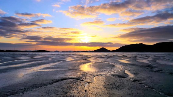 신안군 지도 선도 갯벌.뉴시스