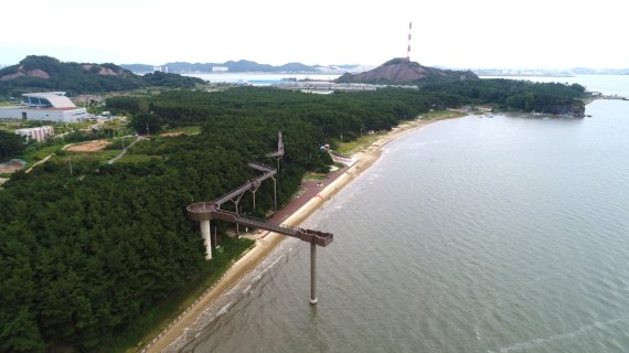 "장항스카이워크·송림산림욕장,친환경 여행지 선정"