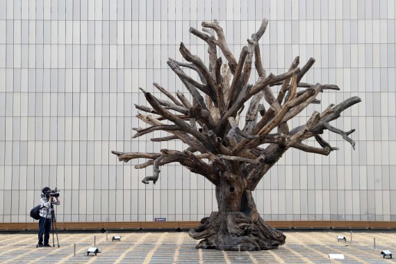 [서울=뉴시스] 박진희 기자 = 국립현대미술관은 세계적인 설치미술가이자 사회운동 실천가로 활동하는 중국 출신 작가 아이 웨이웨이(Ai Weiwei, 艾未未) 개인전 '아이 웨이웨이: 인간미래' 개막을 앞둔 10일 서울 종로구 국립현대미술관에서 기자간담회를 하고 있다. 미술관 마당에 전시된 설치 작품 '나무'(2015)는 중국 남부 산악지대에서 수집한 은행나무, 녹나무, 삼나무 등 죽은 나무 가지와 뿌리, 그루터기 등을 조합한 것이다. 전시는 국립현대미술관 서울관에서 2022년 4월 17일까지. 2021.12.10. pak7130@n