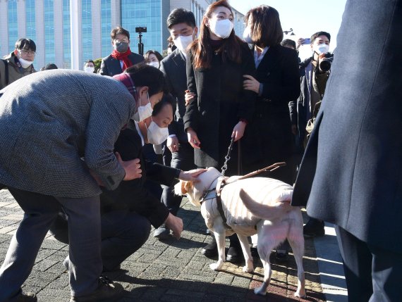 與 청년선대위 "尹 '장애우' 실언에 안내견 쓰다듬기, 공부는 했나"