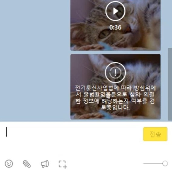 '고양이 짤'도 검열?…n번방 방지법 '검열 논란' 팩트체크