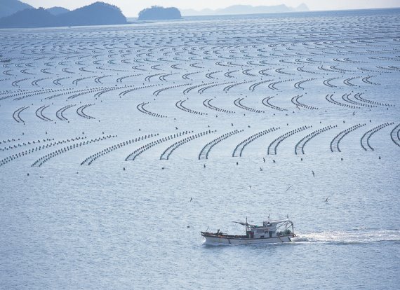 해남군 김양식장 전경(사진은 기사 내용과 관련 없음)/뉴스1 © News1