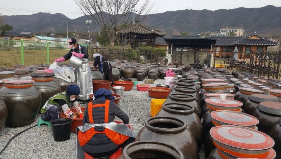 [증평=뉴시스] 증평읍 송산리 장이익어가는 인삼정보화마을. (사진=증평군 제공) photo@newsis.com *재판매 및 DB 금지