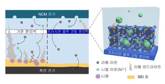 [연구그림] 기존의 분리막을 쓴 경우와 프러시안 블루 코팅 분리막을 쓴 경우 배터리 내부 반응 비교. 기존의 분리막의 경우 전이금속 이온이 흑연 전극쪽으로 넘어가면서 두꺼운 SEI 층을 형성하고, 리튬 수지상 형성을 촉진한다. 리튬 수지상이 분리막을 뚫게 되면 단락이 발생한다. 그에 반해 프러시안 블루 코팅 분리막은 전이금속 이온의 이동을 차단하여 고르고 얇은 SEI 층을 형성한다. SEI(solid electrolyte interphase)층이 얇고 고르게 생길 때는 전해액이 전극과 직접 반응하는 것을 막는 보호막을 역할을 한다.