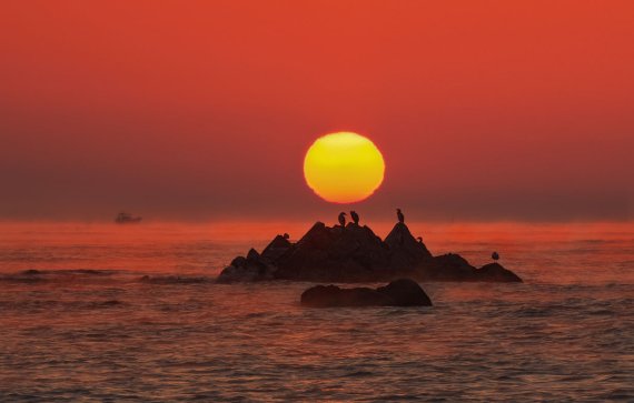 경주 문무대왕릉 일출..(뉴스1 자료)2021.12.23 © 뉴스1