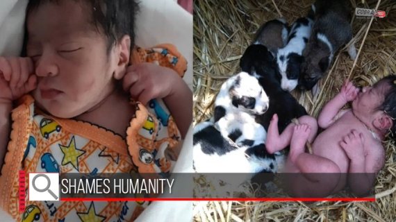 인도에서 탯줄이 달린 채 버려진 아기가 강아지 무리와 함께 발견됐다. 유튜브 캡처