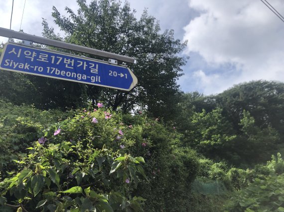 시약산 인근 도로 표지판.© 뉴스1 백창훈 기자