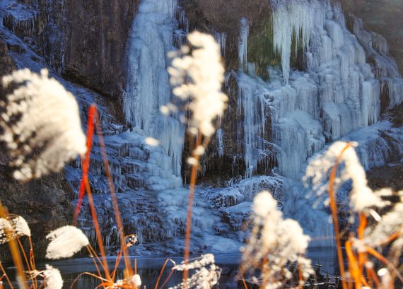 (서대문구제공)© 뉴스1