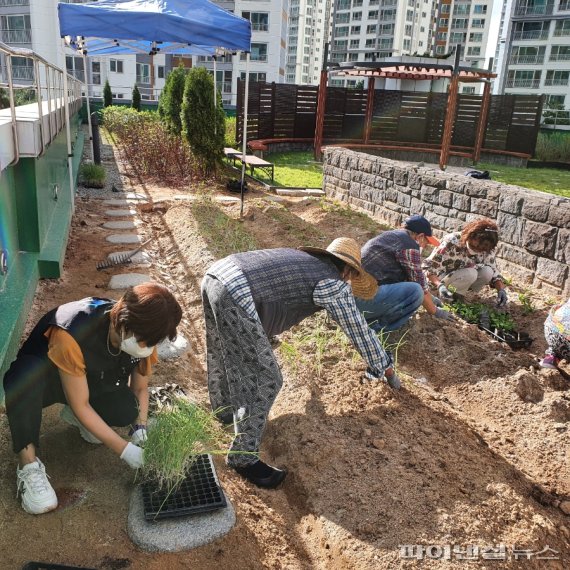 고양지역자활센터 옥상 ‘행복자활텃밭’. 사진제공=고양시