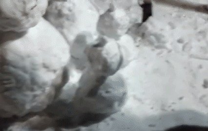 아버지와 어머니, 아이 둘을 형상화한 '눈사람 가족'을 부수는 이들. (유튜브 갈무리) © 뉴스1