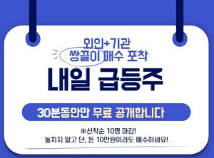 1월 "급등주" 미리 확인하세요.