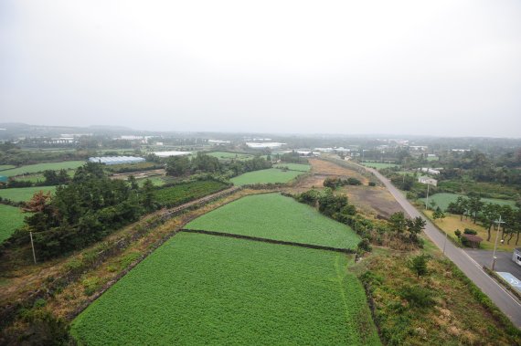 [2022제주②]새해 또 한번 갈림길에 놓인 제2공항 논란