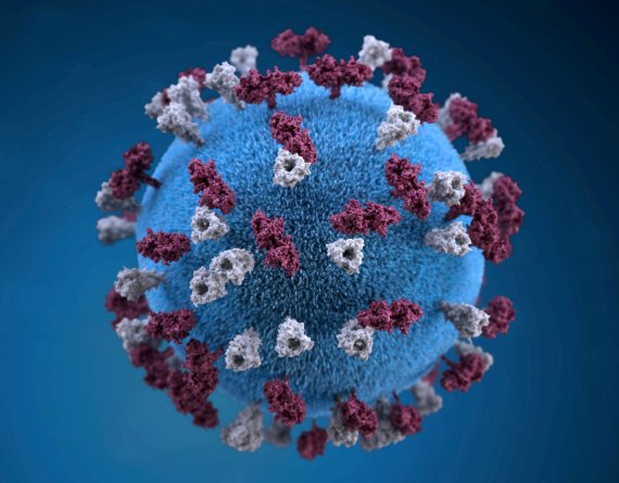 '돌연변이 46개 보유' 새 코로나 바이러스 발견됐다
