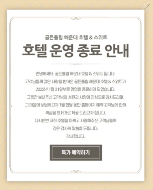 골든튤립© 뉴스1