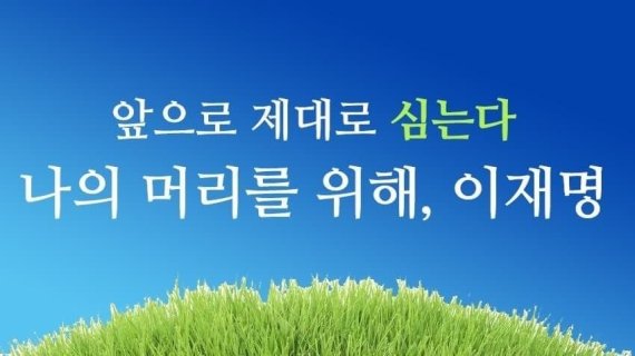 "이재명은 심는 겁니다" 與 청년선대위, 탈모인 간담회 연다