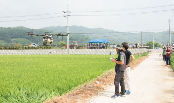 [증평=뉴시스] 증평군농업기술센터 농촌지도 시범사업. (사진=증평군 제공) photo@newsis.com *재판매 및 DB 금지 /사진=뉴시스